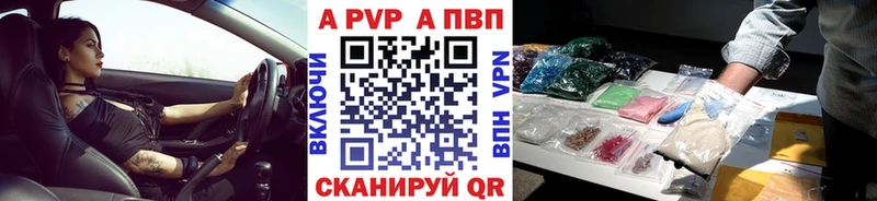 Альфа ПВП СК КРИС  Беслан 