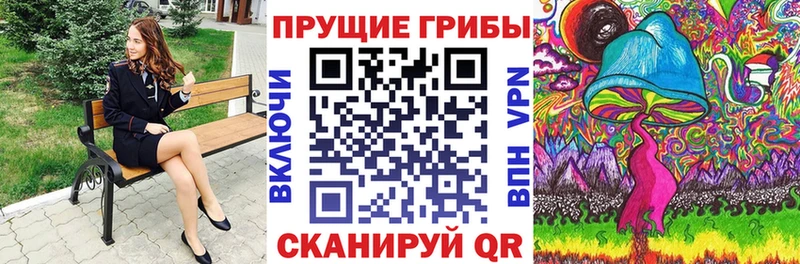 Галлюциногенные грибы Cubensis Беслан